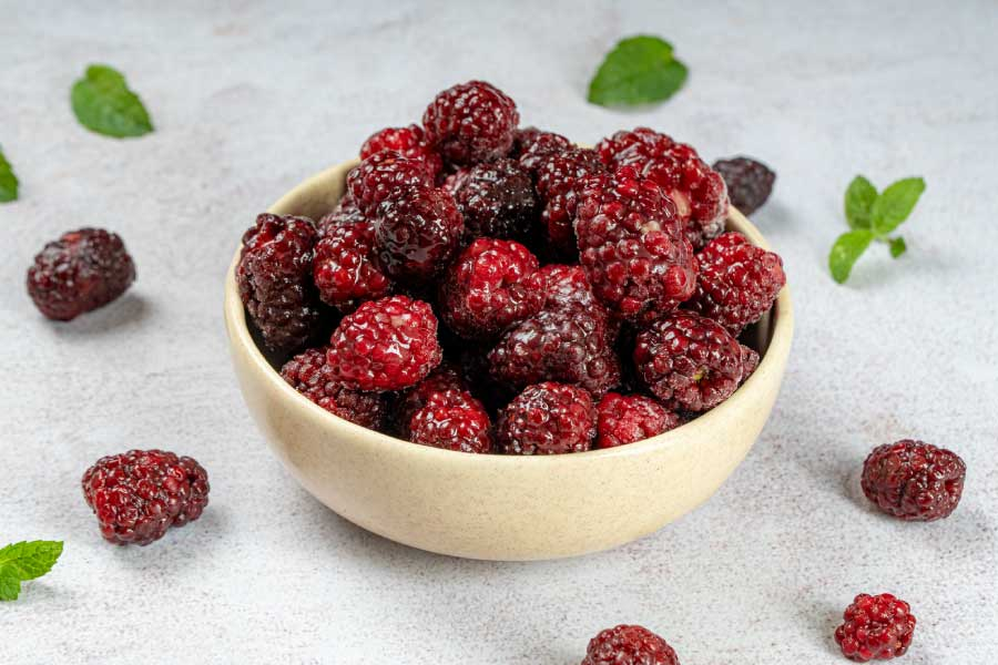 Moras Biomac